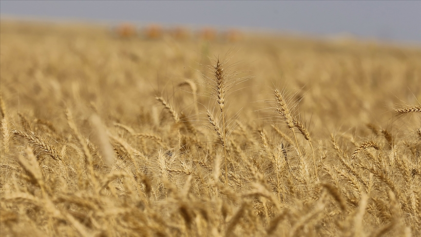 21. yüzyılda iklim değişikliği, kuraklık ve kıtlık gibi faktörler insanları alışkanlıklarını değiştirmeye itti
