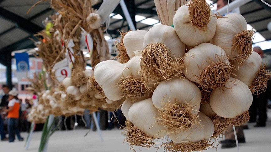 Bazı tarım ürünlerinin gümrük vergileri oranlarda artışa gidilmeden yeniden düzenlendi