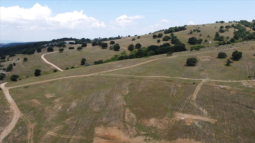 Söğüt Altın Madeni Projesi’nde hedef 2022 yılının sonunda ilk altını dökmek