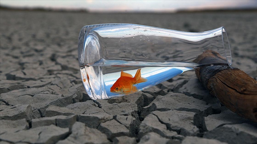 ABD’nin batı yakasında tarihi kuraklık oranları yaz için tehlike sinyali veriyor