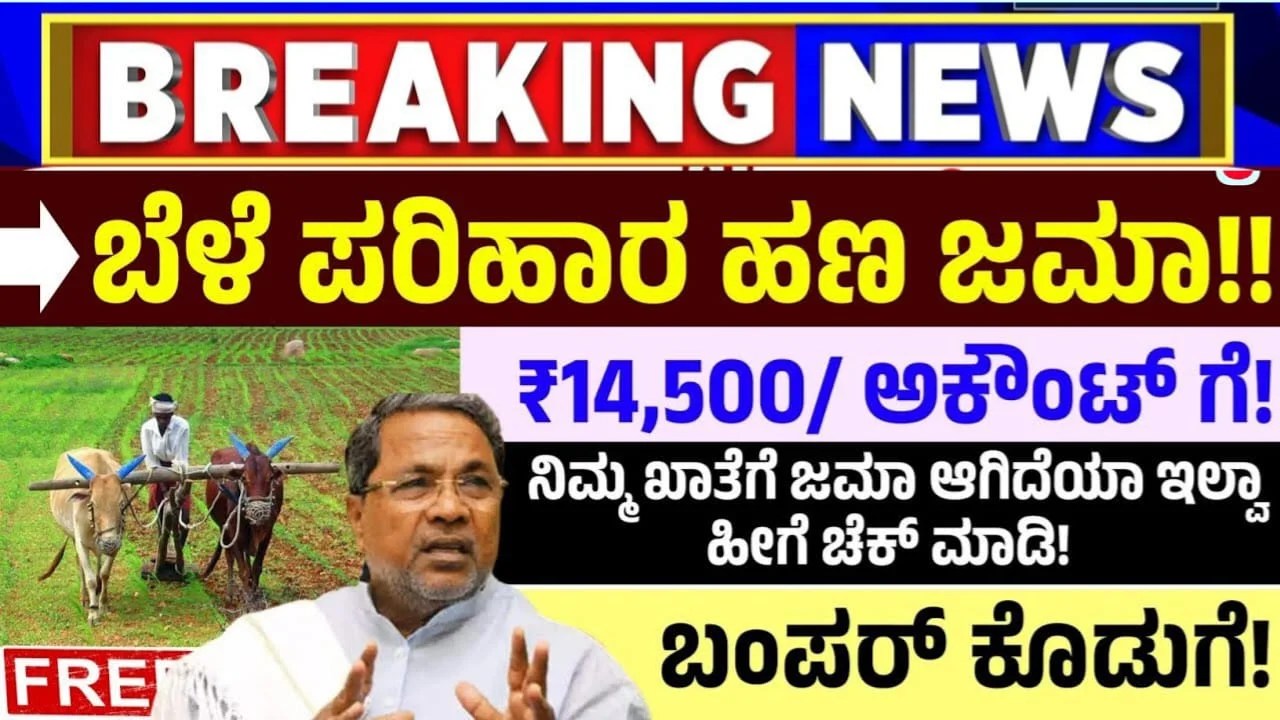 Drought Relief : ಬೆಳೆ ಪರಿಹಾರ ಹಣ ಬಿಡುಗಡೆ.! ನಿಮ್ಮ ಬ್ಯಾಂಕ್ ಖಾತೆಗೆ ಬಂದಿದೆಯಾ ಚೆಕ್ ಮಾಡಿಕೊಳ್ಳಿ