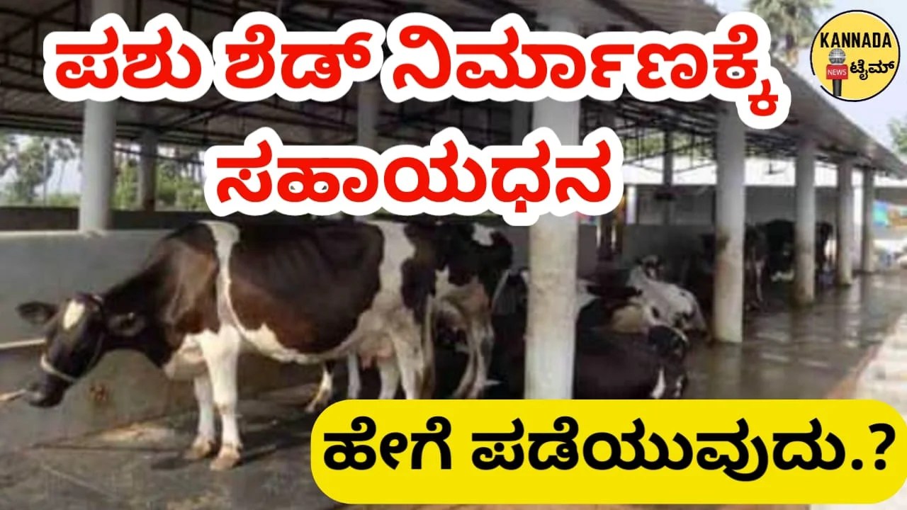 MGNREGA Pashu Shed : ಈ ಕಾರ್ಯ ಮಾಡಲು ಸರ್ಕಾರದಿಂದ ಸಿಗಲಿದೆ ಭರ್ಜರಿ ಮೊತ್ತ.! ಹೇಗೆ ಏನು ಸಂಪೂರ್ಣ ಮಾಹಿತಿ ಇಲ್ಲಿದೆ