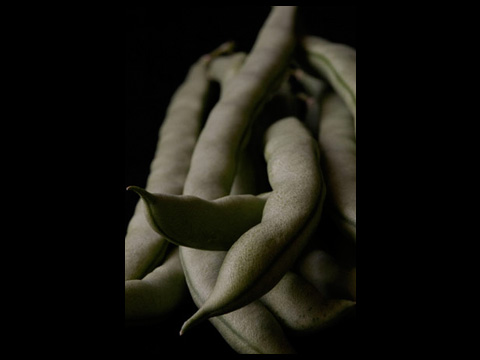 String Beans #02digital