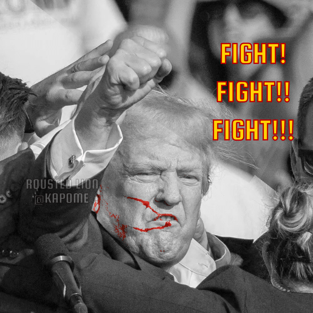 Trump Fight x 3