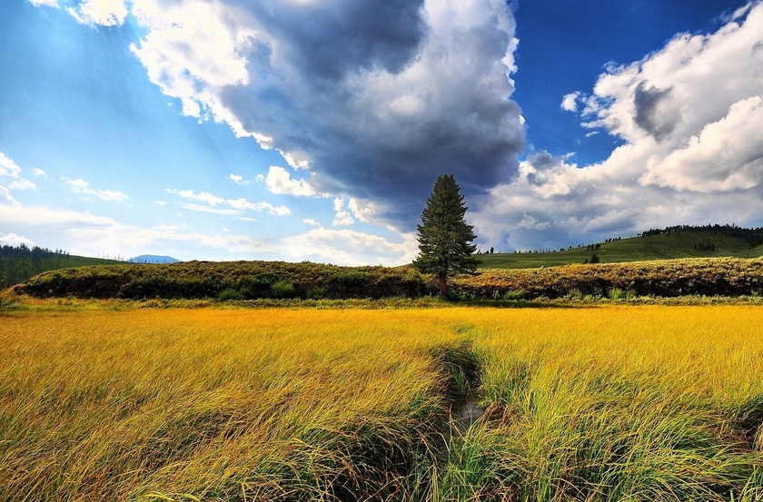 Élő közvetítés, a cikk folyamatosan frissül! Frontok jÃ¶nnek-mennek - IdÅ'jÃ¡rÃ¡s - HÃ­rek - KaposPont