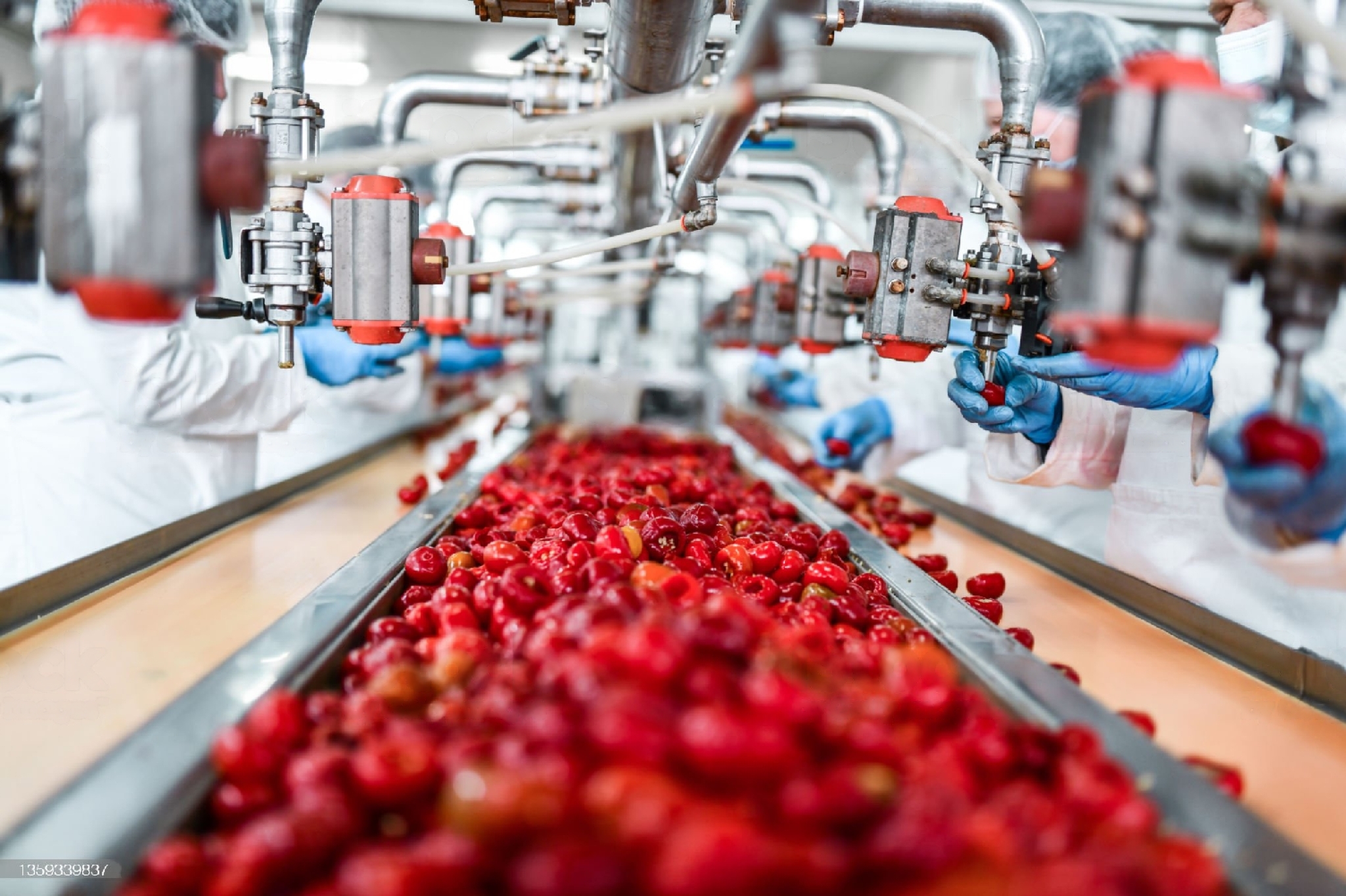 Food_process_industry