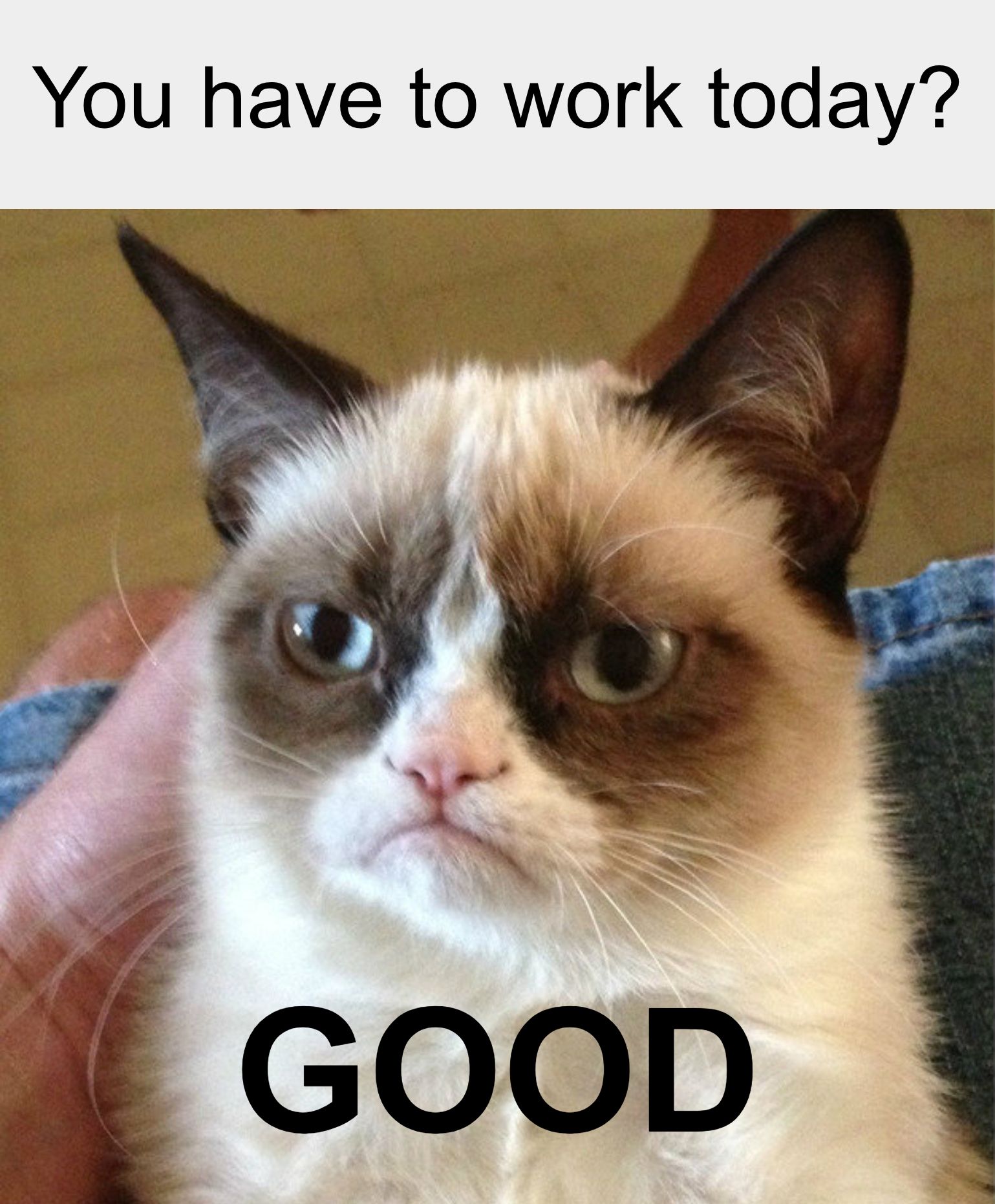 20 Hilarious Presidents Day Memes 20 Hilarious Presidents Day Memes