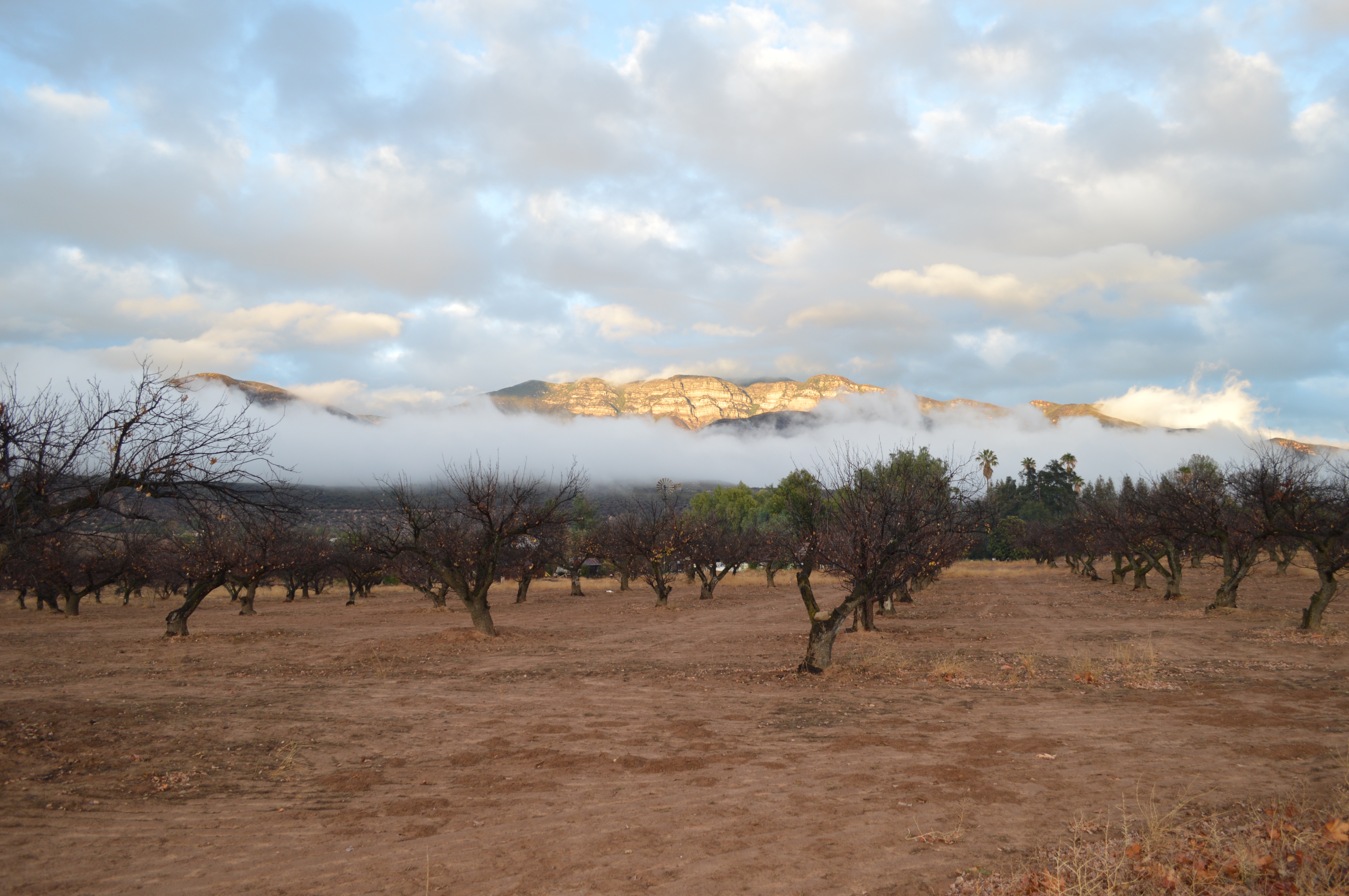Upper Ojai - December 2015