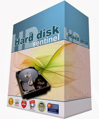 Disk
