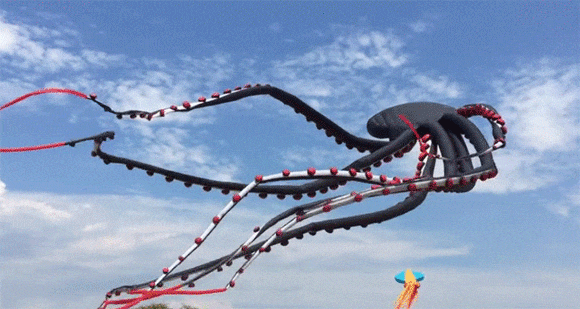 8dd0d17f.gif?crop=1&w=400&h=
