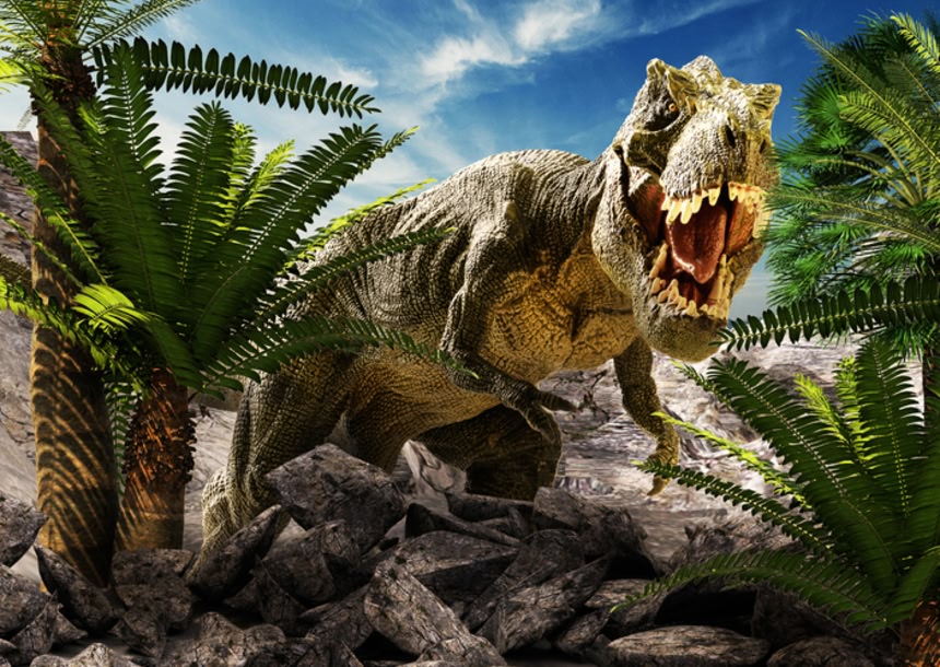 ☆値引き交渉可能です。ティラノサウルスの恐竜です。横約6m高さ2m 
