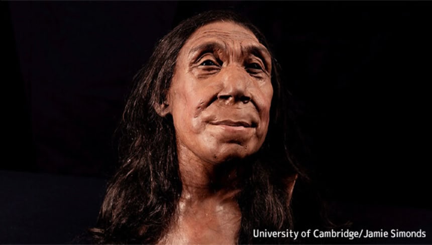 ネアンデルタール人様　リリピピ 7万5000年前のネアンデルタール人女性の顔の復元に成功 | カラパイア
