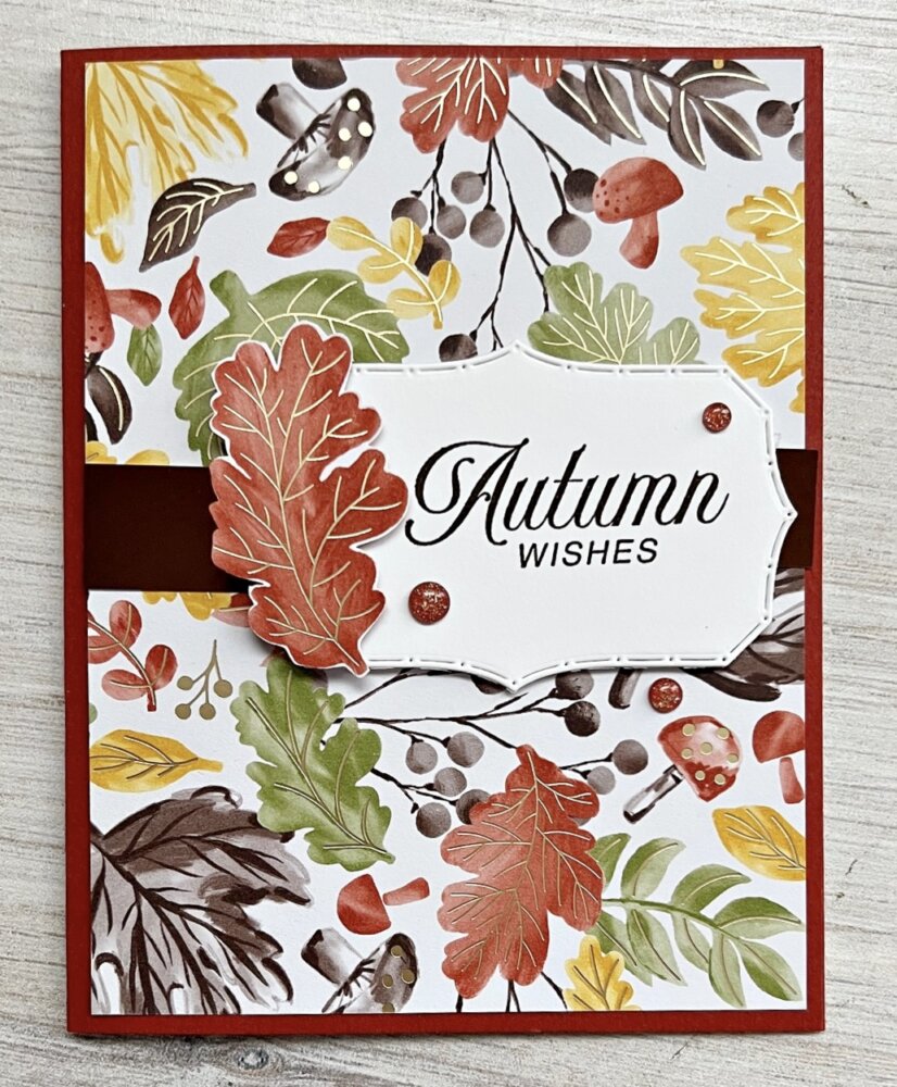 One Sheet Wonder Fun From the Catalog—Change It Up & Make It Yours