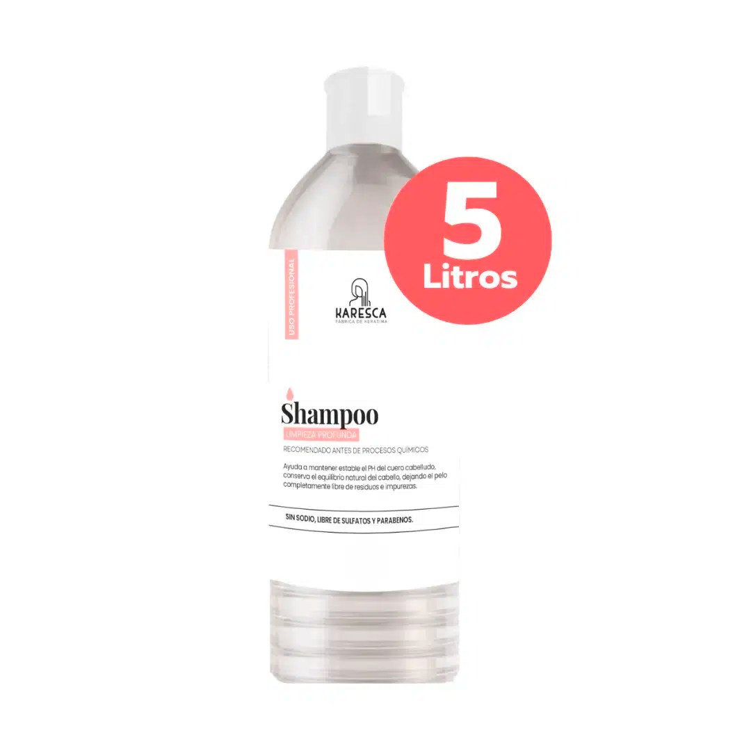 Shampoo Limpieza Profunda 5L