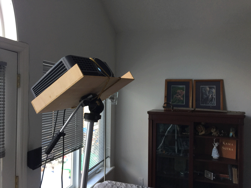 Projector - Life on Locke Projection