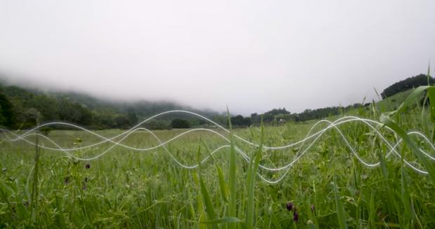 Recording the Sounds of Extinction