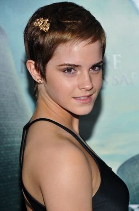 38+ Awesome Pixi Schnitt - Kurzhaarfrisuren runde gesichtsform - You can also follow us on:blog: