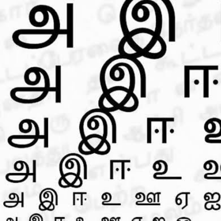 2 1.webp