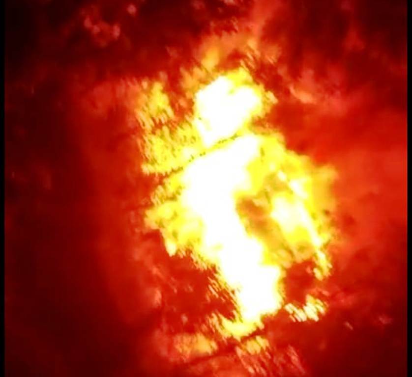 10 Animals Charred To Death In Fire Incident - Vimarsana News
