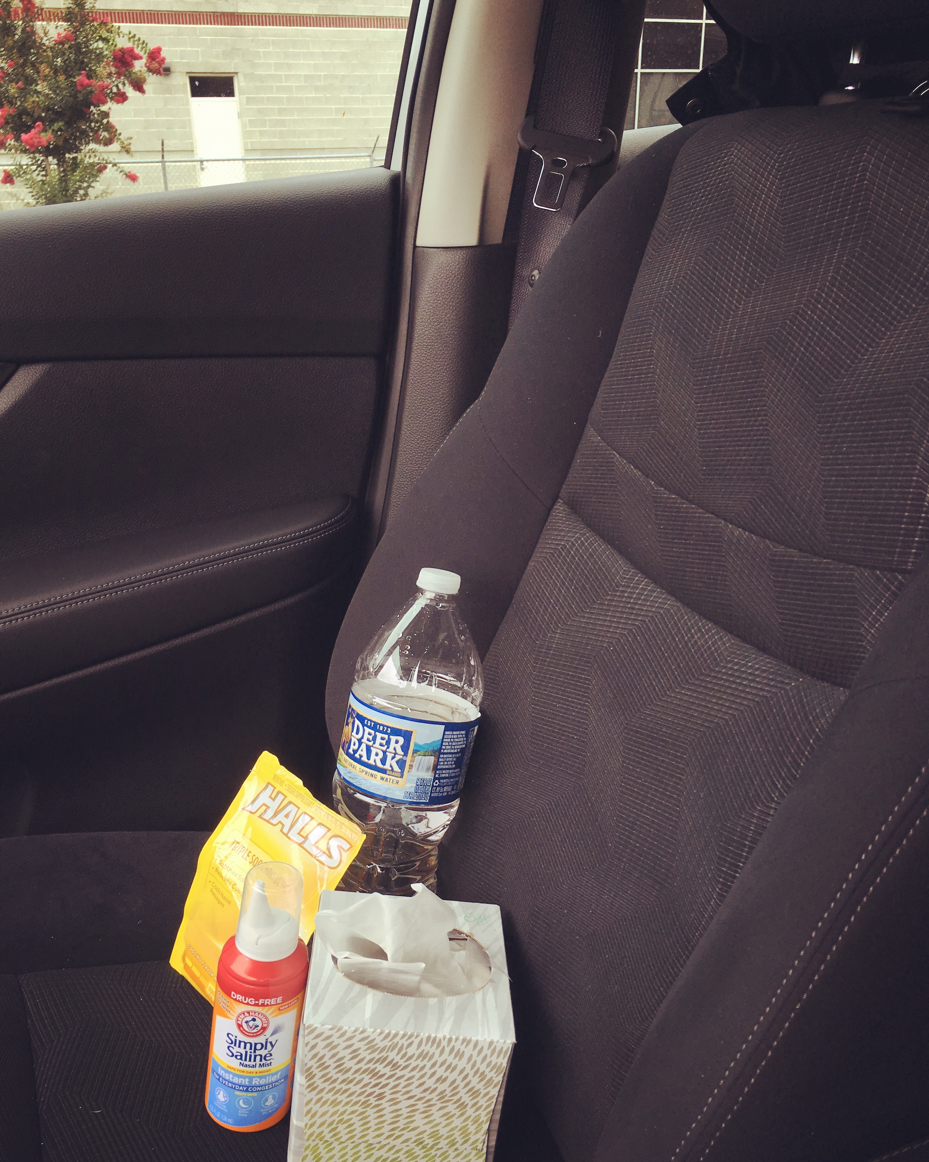 My co-pilots for the last few days. July 28