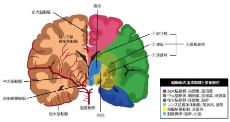 脳過灌流症候群の症状