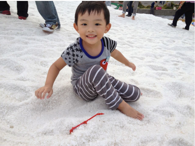 秋涼母子小旅行 |  台南第二篇 生態古蹟篇