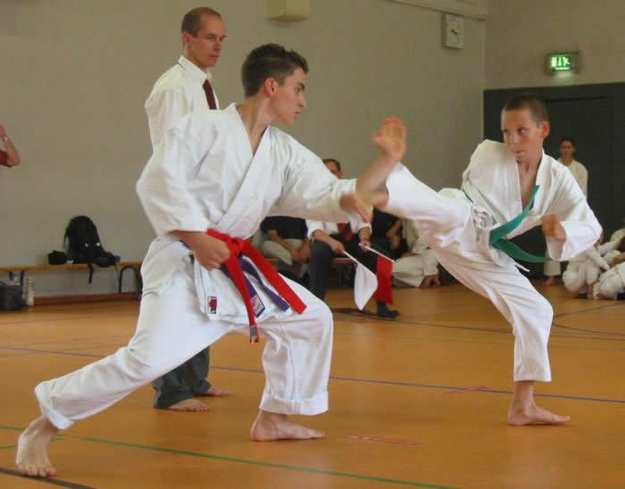 There are two primary technique categories such as gōhō (strikes, kicks and blocks) and jūhō (pins, joint locks and dodges). Types of Traditional and Modern Japanese Martial Arts
