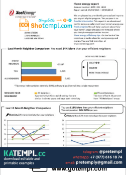 generate USA Minnesota Xcel Energy utility bill in Word and PDF format (.doc and .pdf)