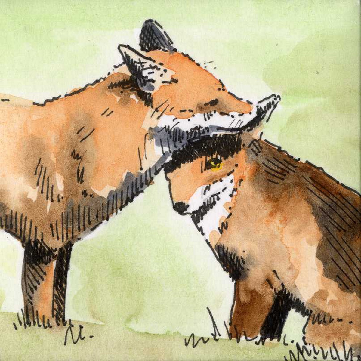 fox-couple-3