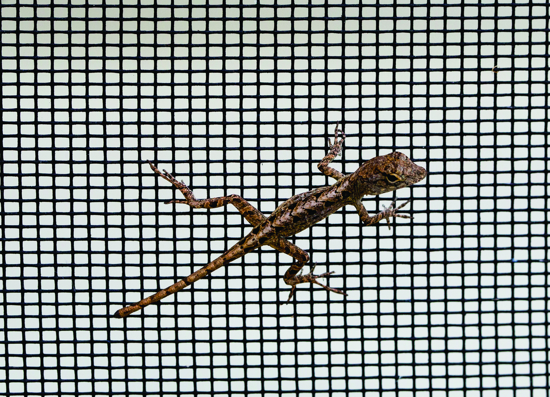 National Geographic’s next generation of photographers