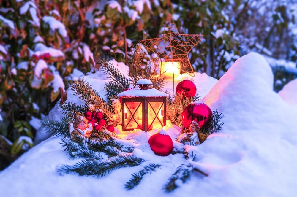 Winter Lawn Care