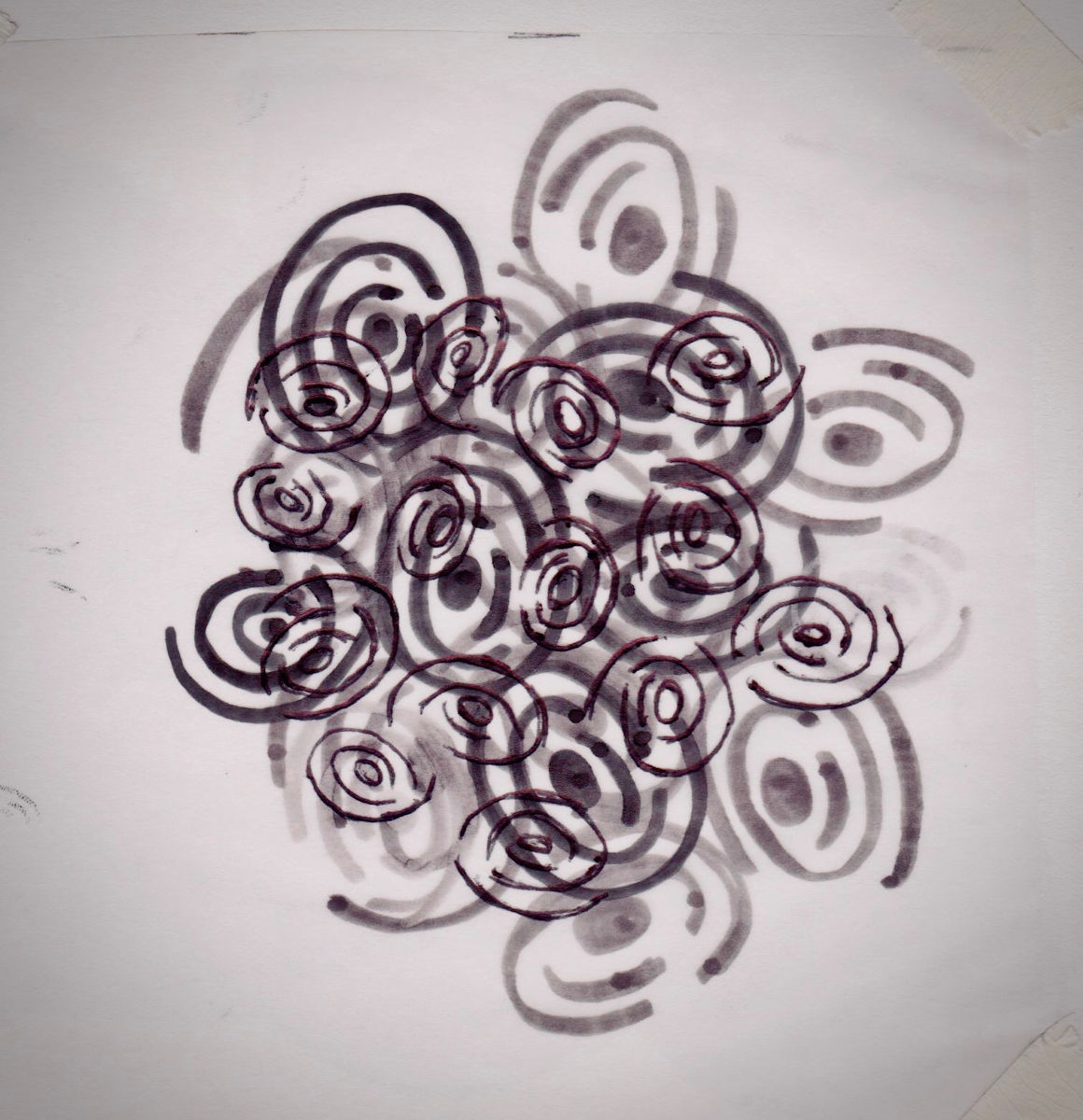 Beet study: we were assigned to make 35 different drawings of a single vegetable.