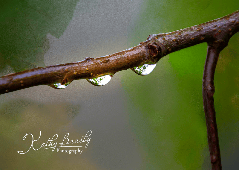 Refreshing raindrops
