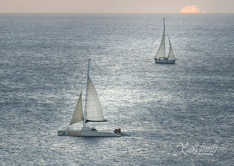 Two sailboats gliding on a calm ocean under soft evening light.