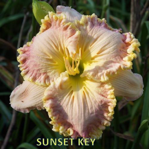 sunset key $25 df
