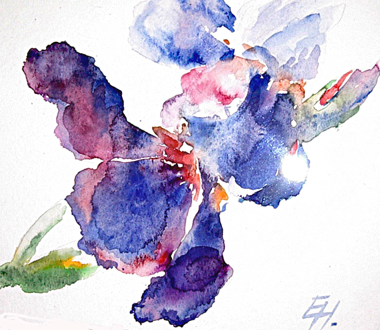 purple iris, watercolour