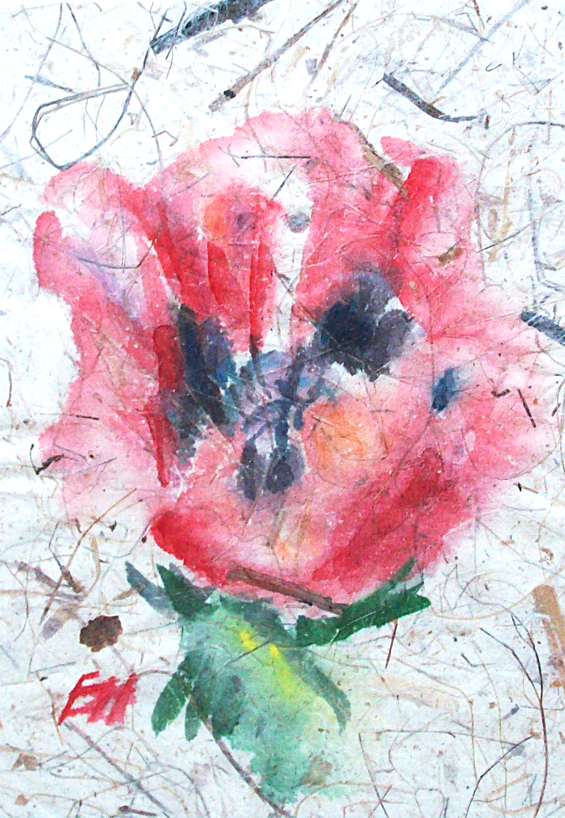 poppy, watercolour