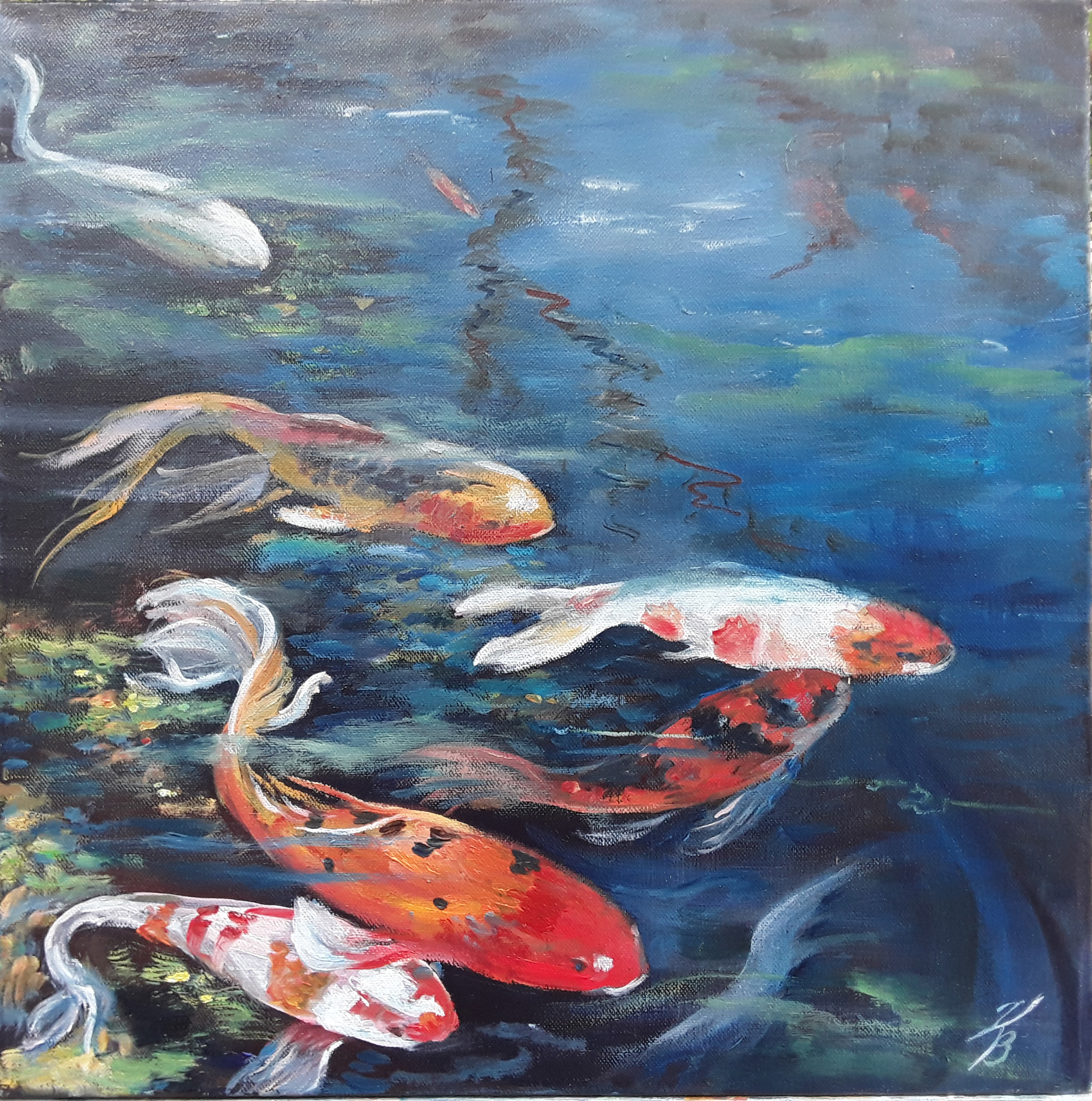 koi