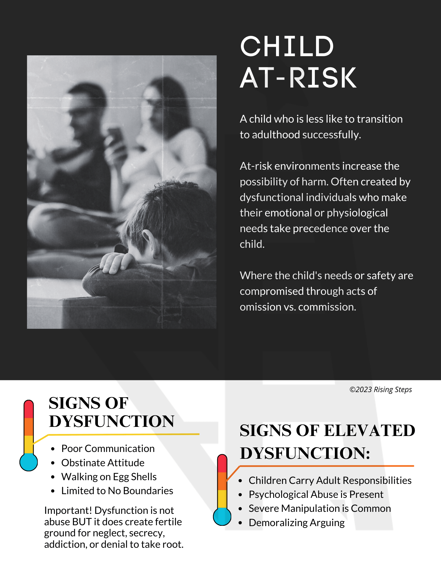 Child Risk Assessment Guide - Image 3