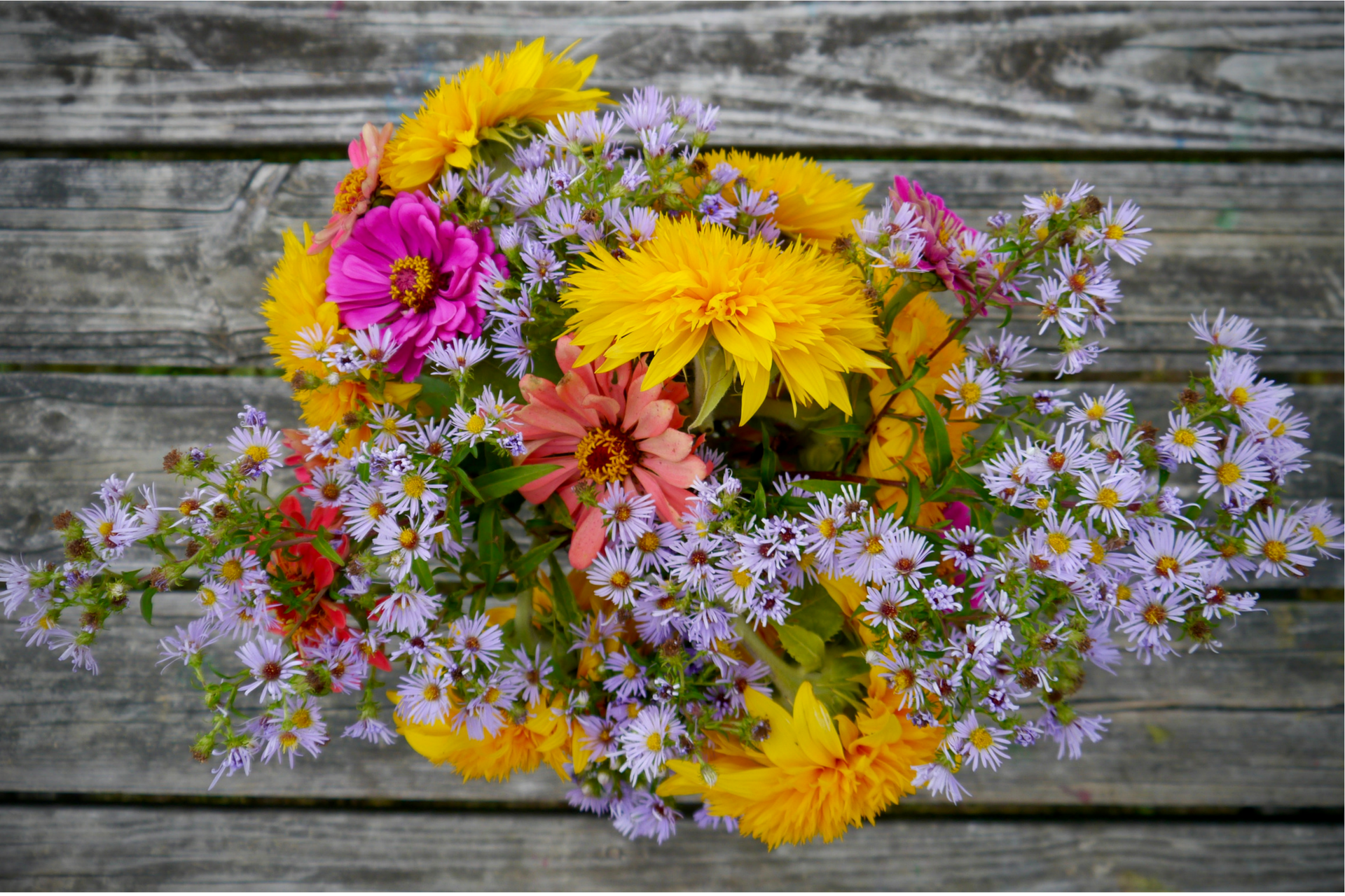organic flower bouquet