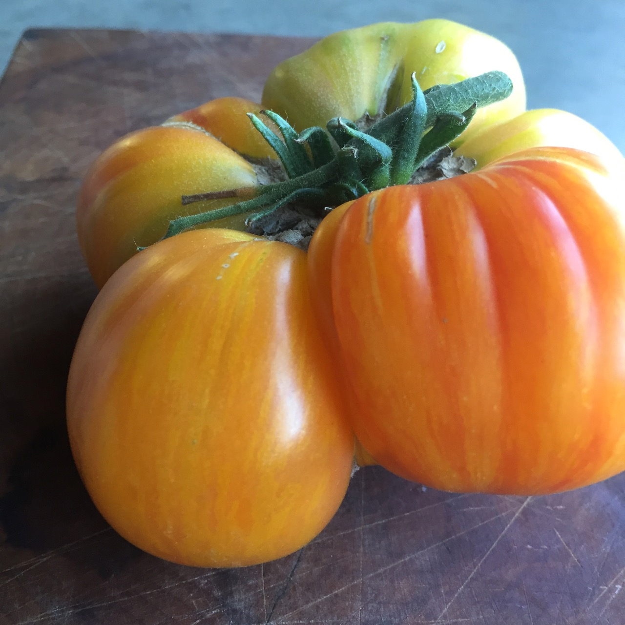 organic copia tomato