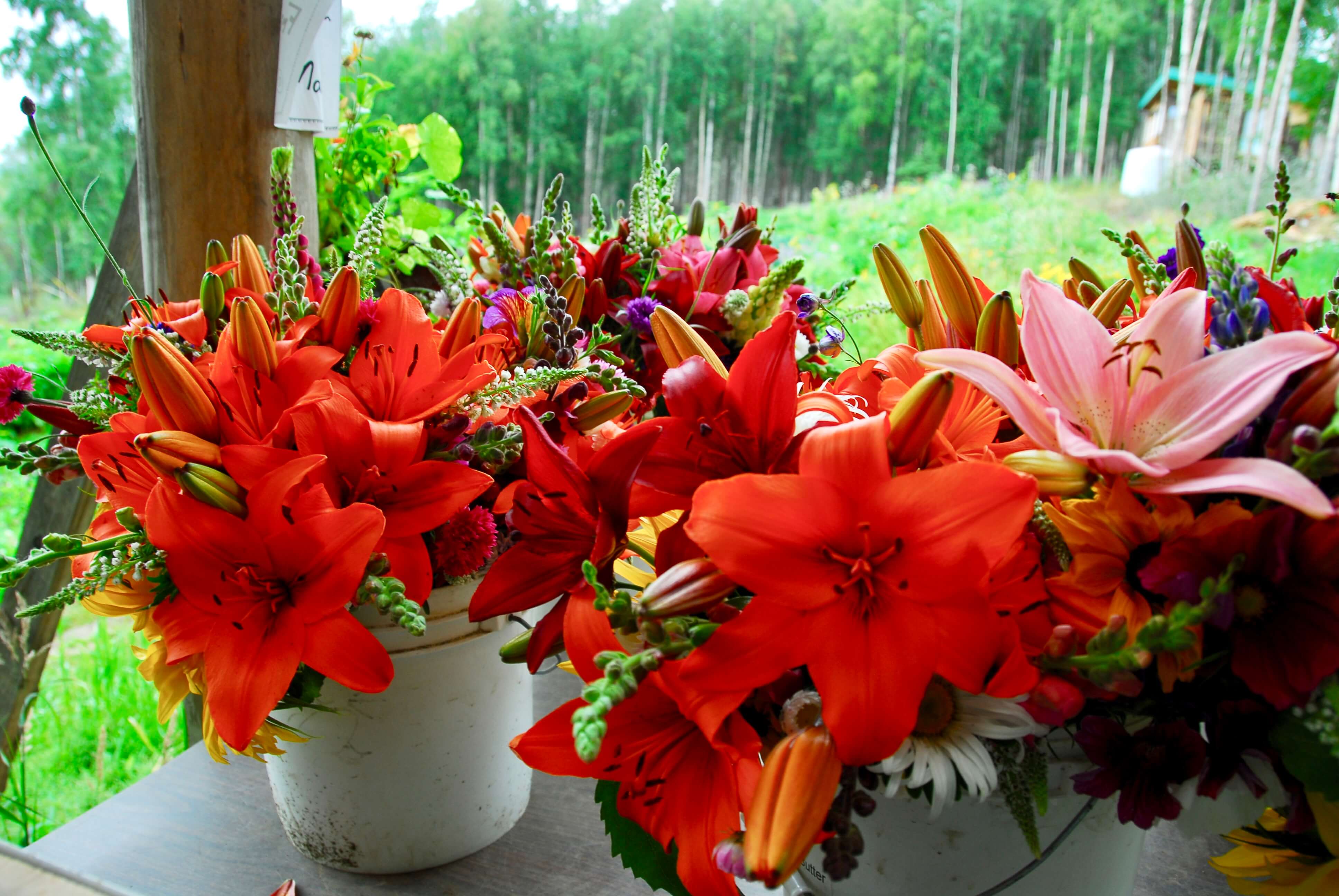 Organic Flower Bouquets at Calypso Farm