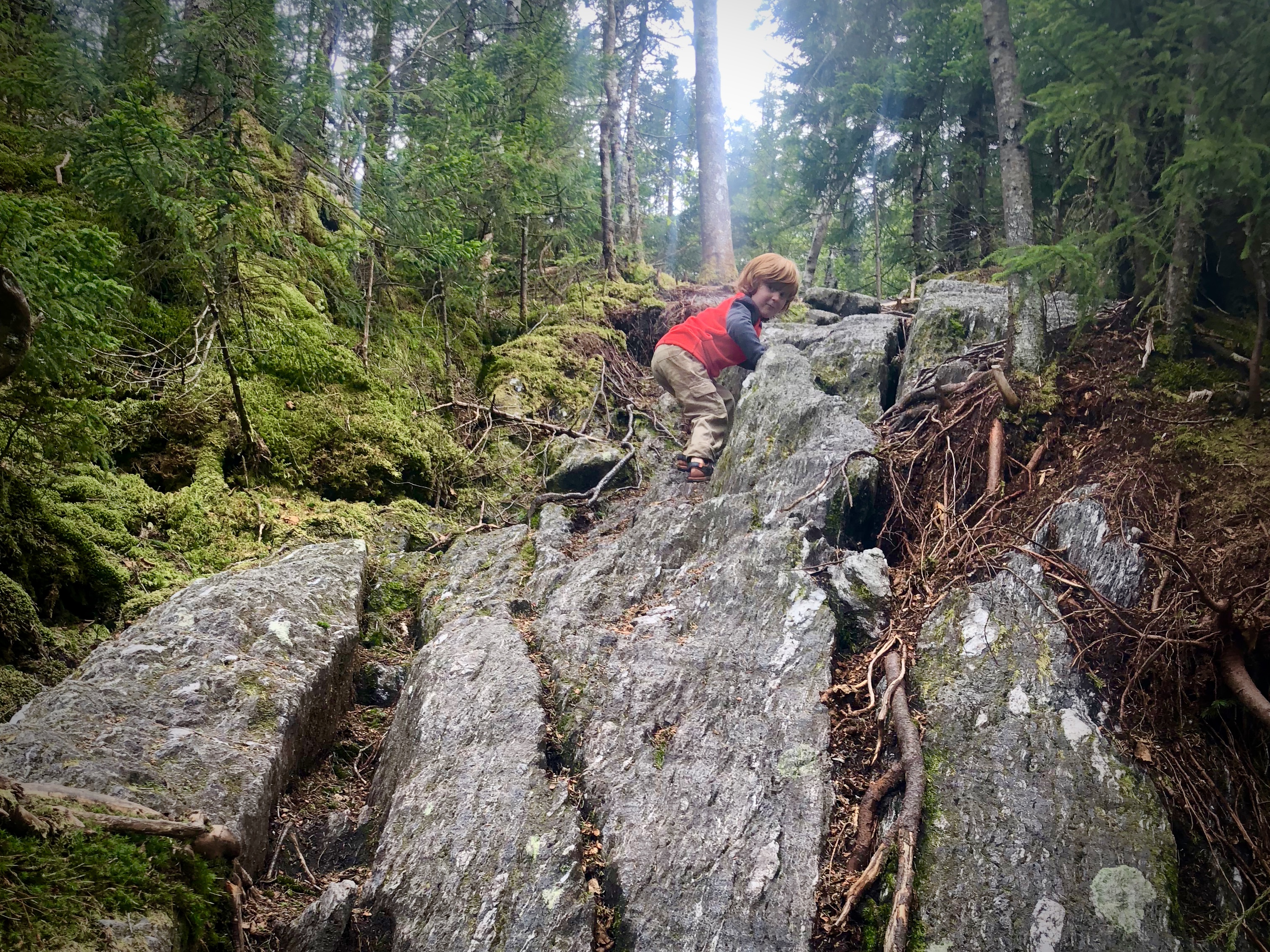 Hiking and running with a 5-year-old