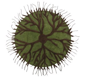 Roots