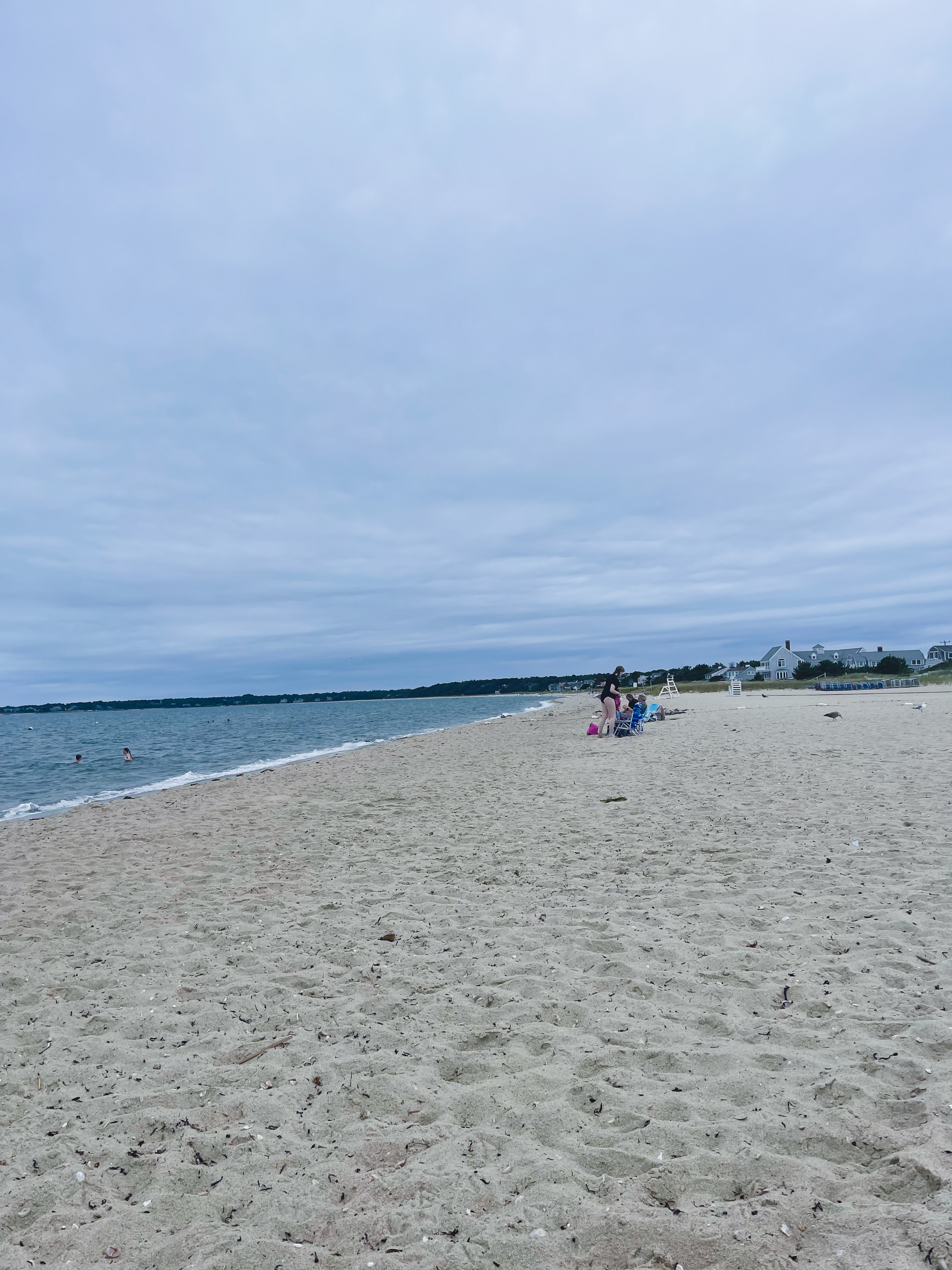 The Beach at Dunes Shacks Trail