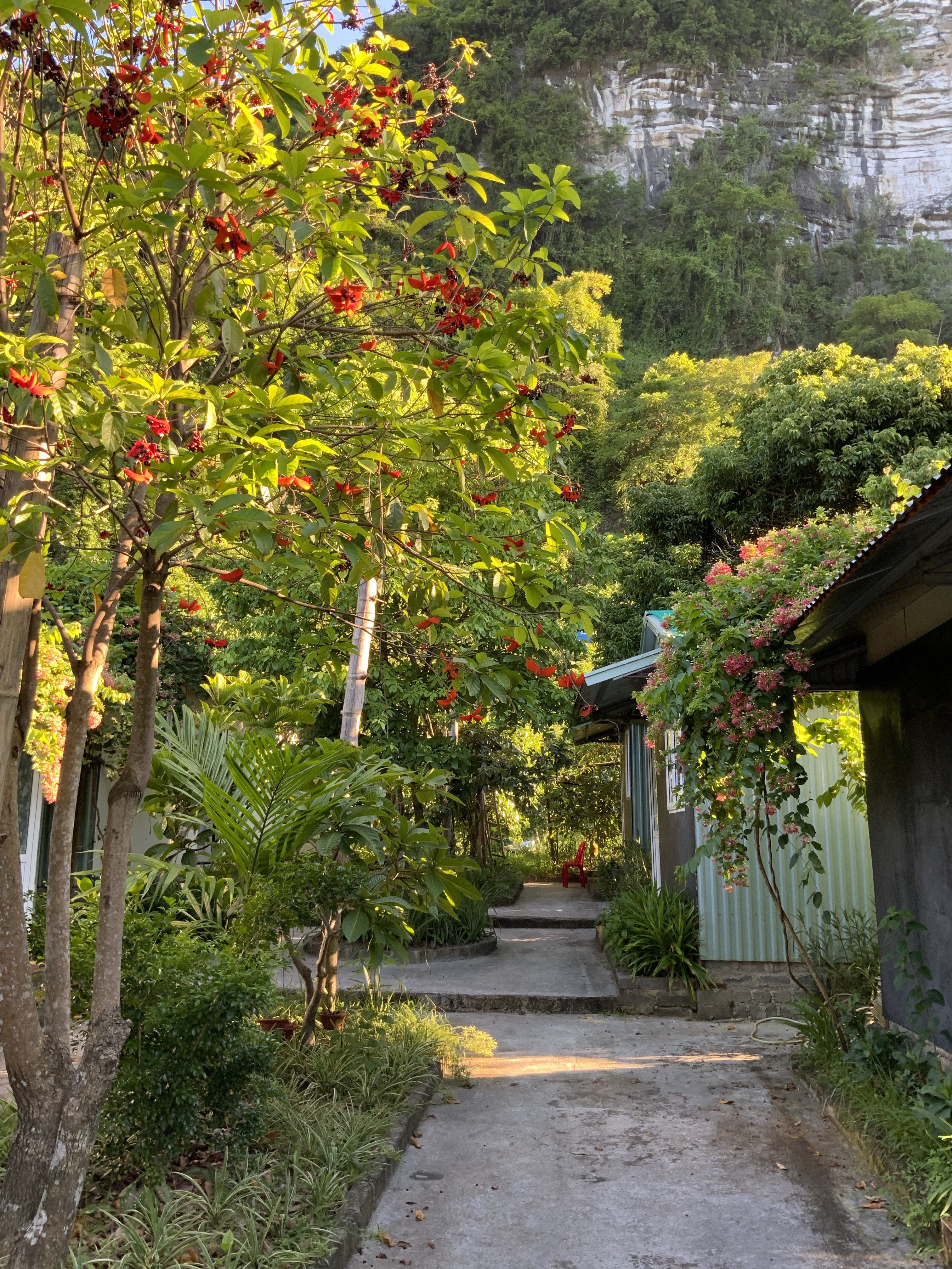 Garden Home Stay auf Cat Ba Island, Vietnam