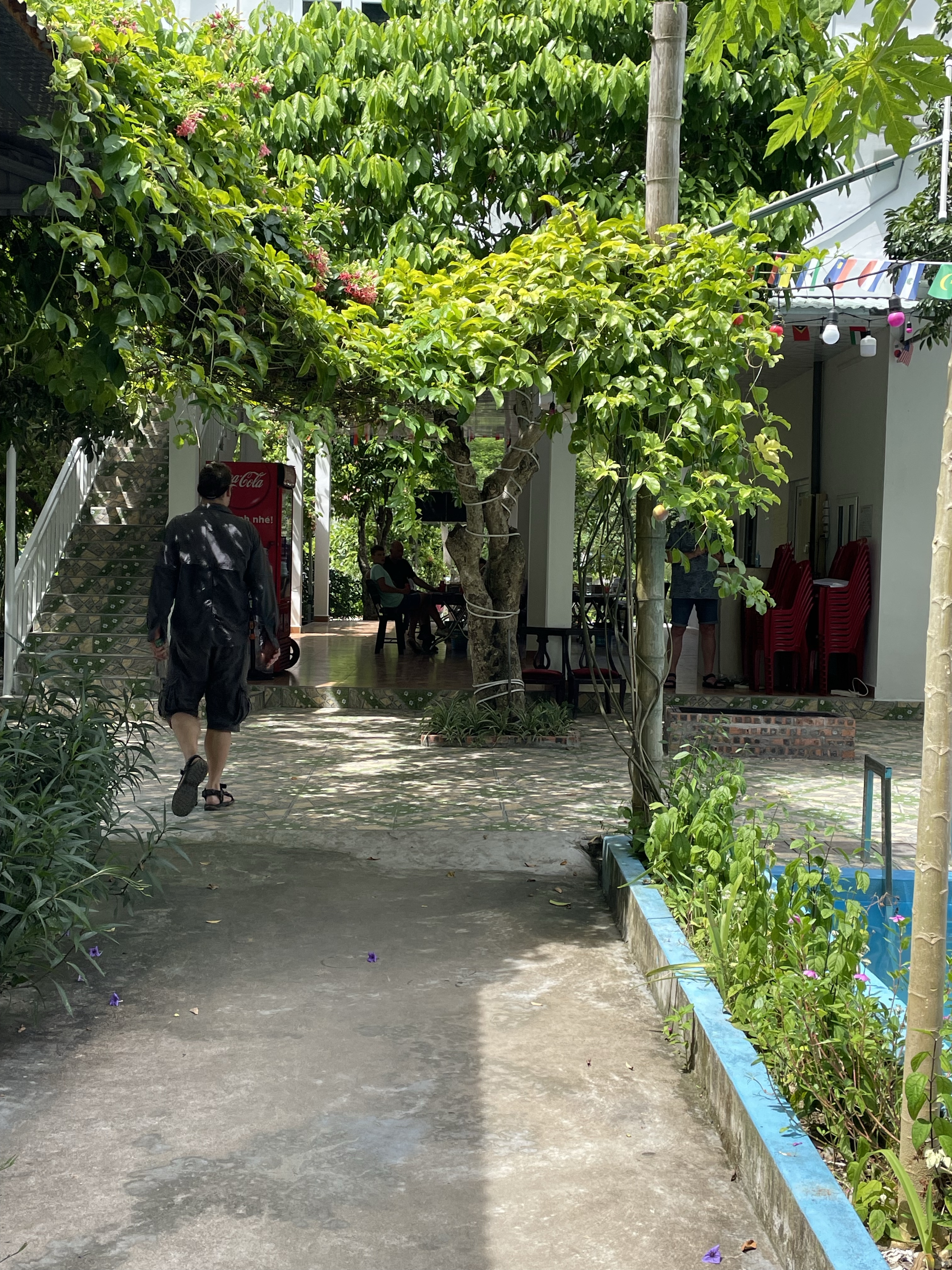 Countryside Homestay In Cat Ba Island