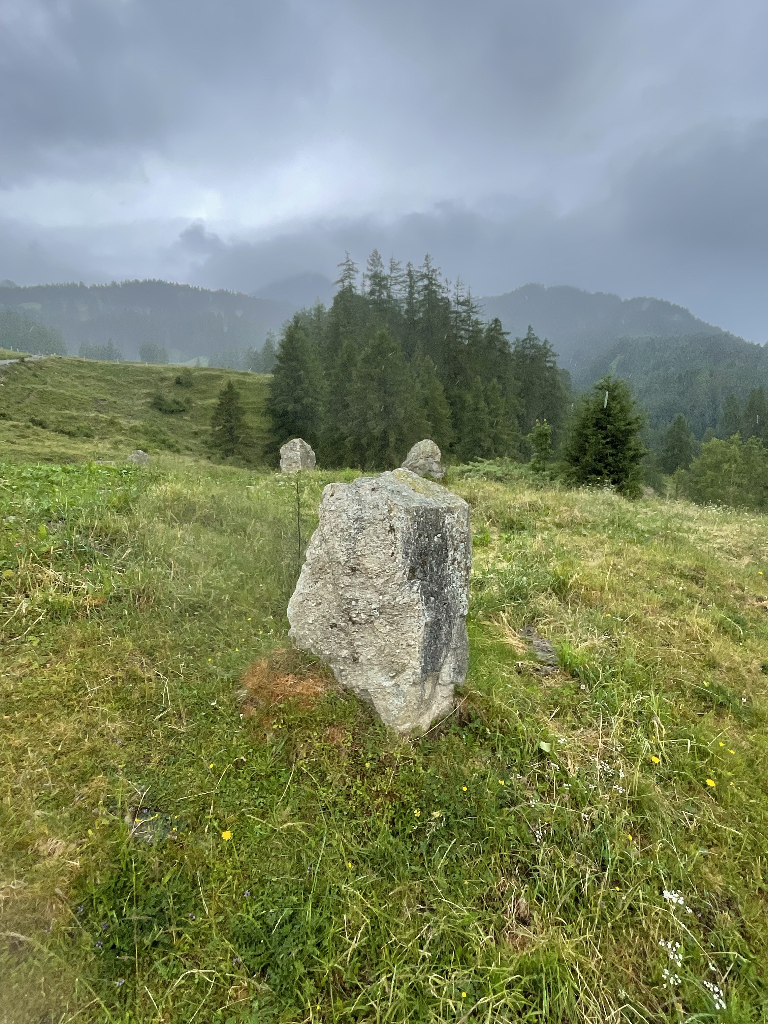 Steinkreise im Nebel