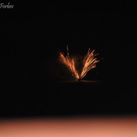 Goodbye to the Torch