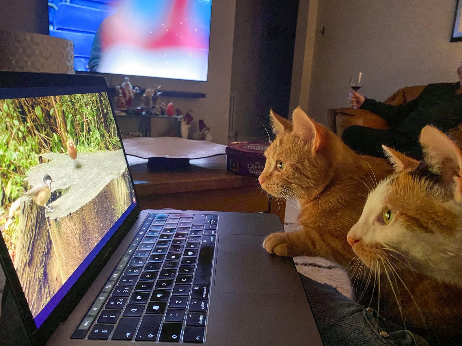 A cat laying next to a computer Description automatically generated with low confidence